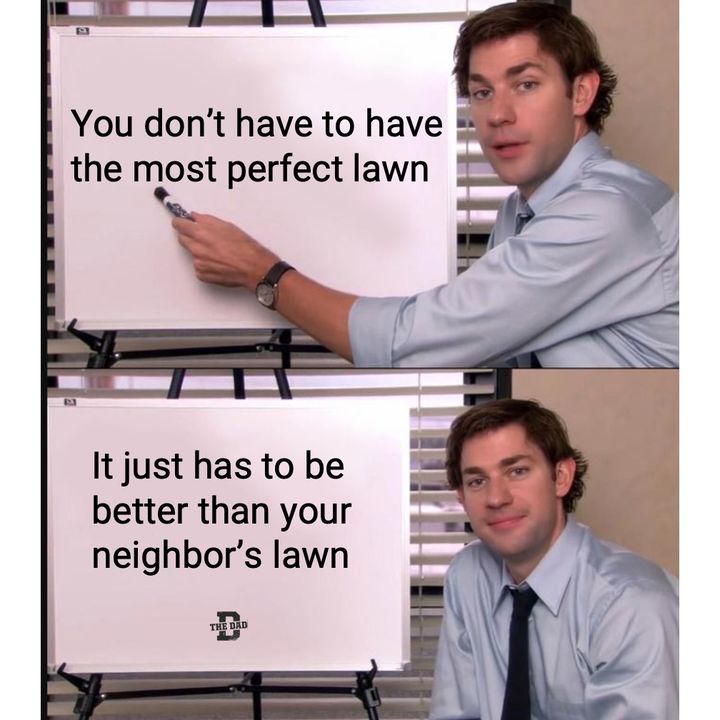 your lawn just has to be better than your neighbors