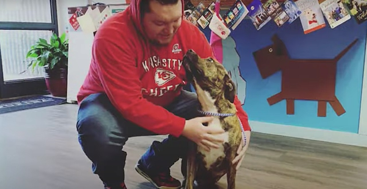 Lost 3-legged dog reunites with owner