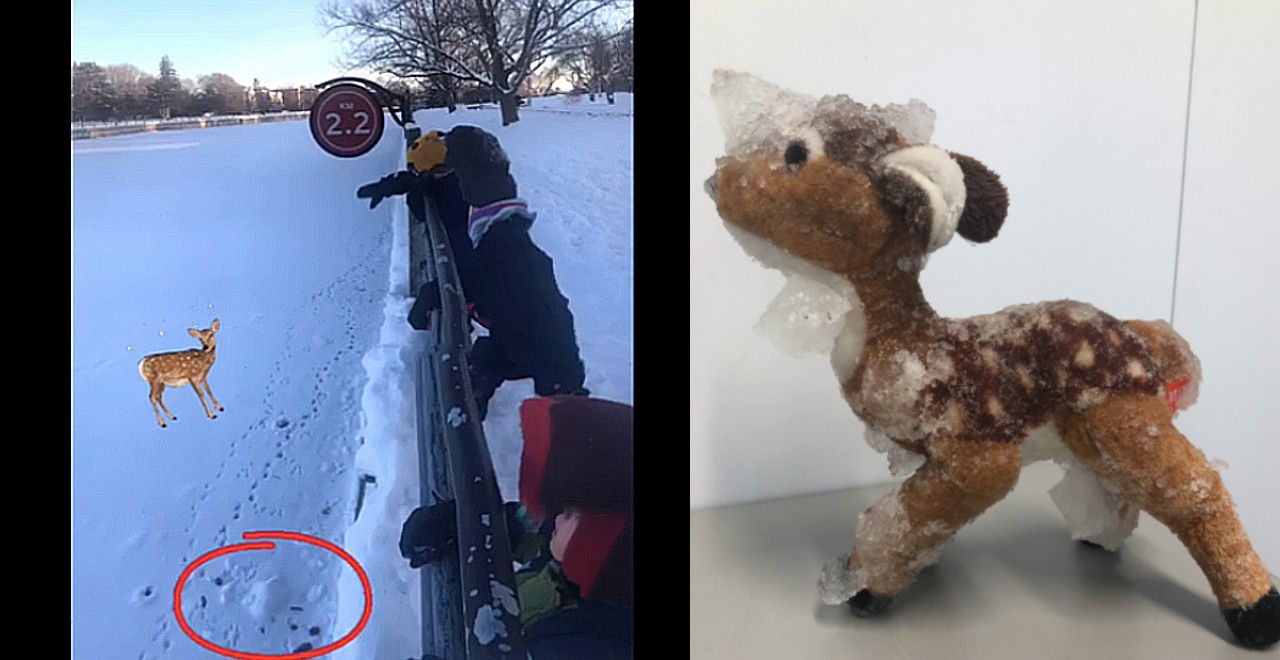 Stuffed deer rescued from frozen canal