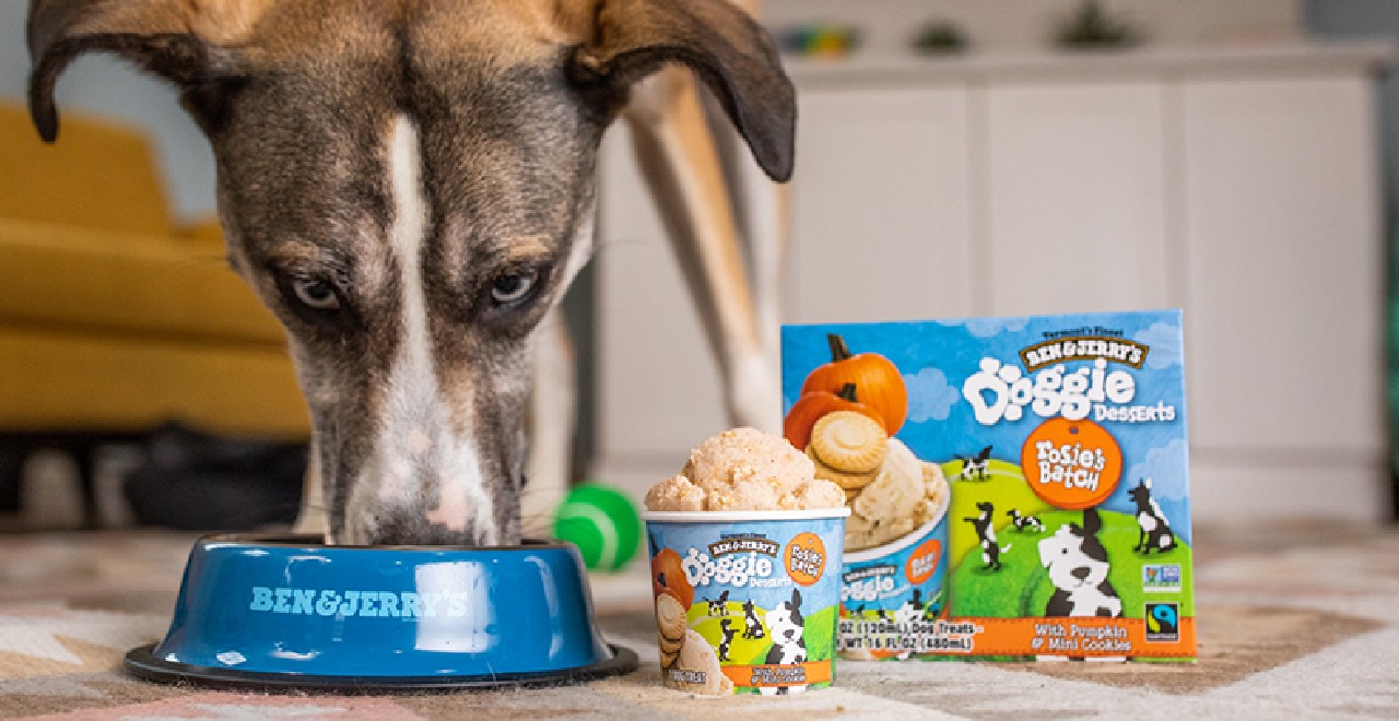 Ben & Jerry Doggie Desserts