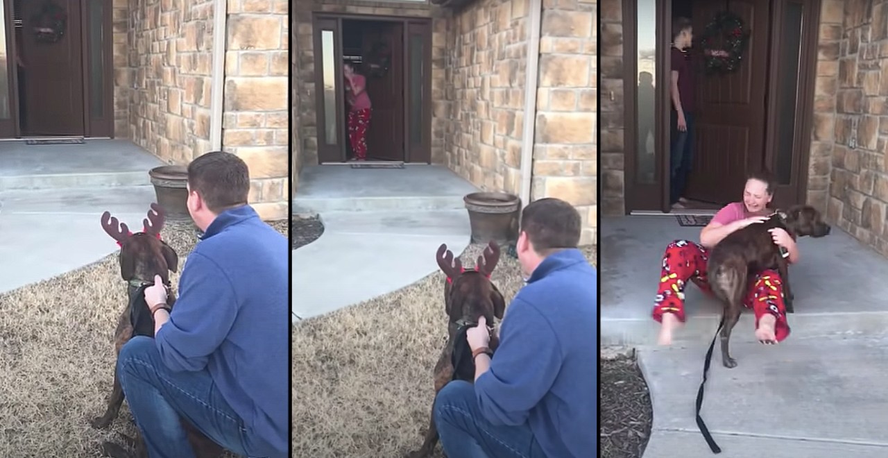 Parents surprise daughter with dog she cared for at shelter