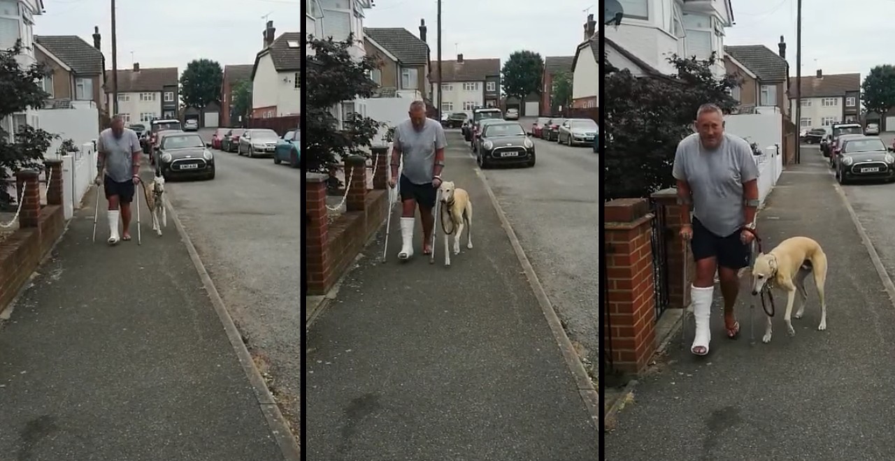 Man pays for vet visit only to learn his dog copied his limp out of sympathy