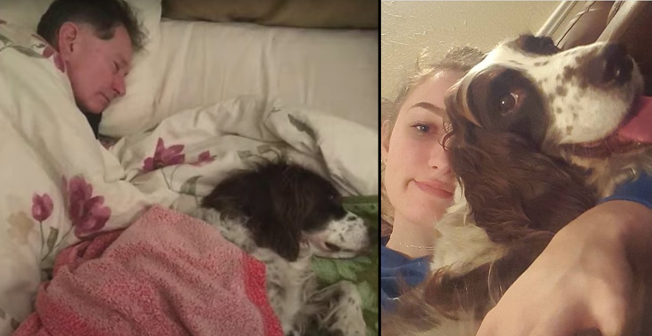 Family takes turns sleeping on couch with senior dog