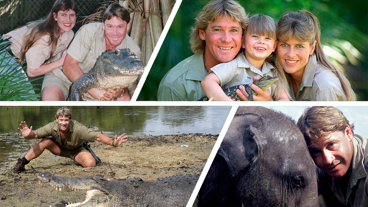 15 years ago we lost steve irwin