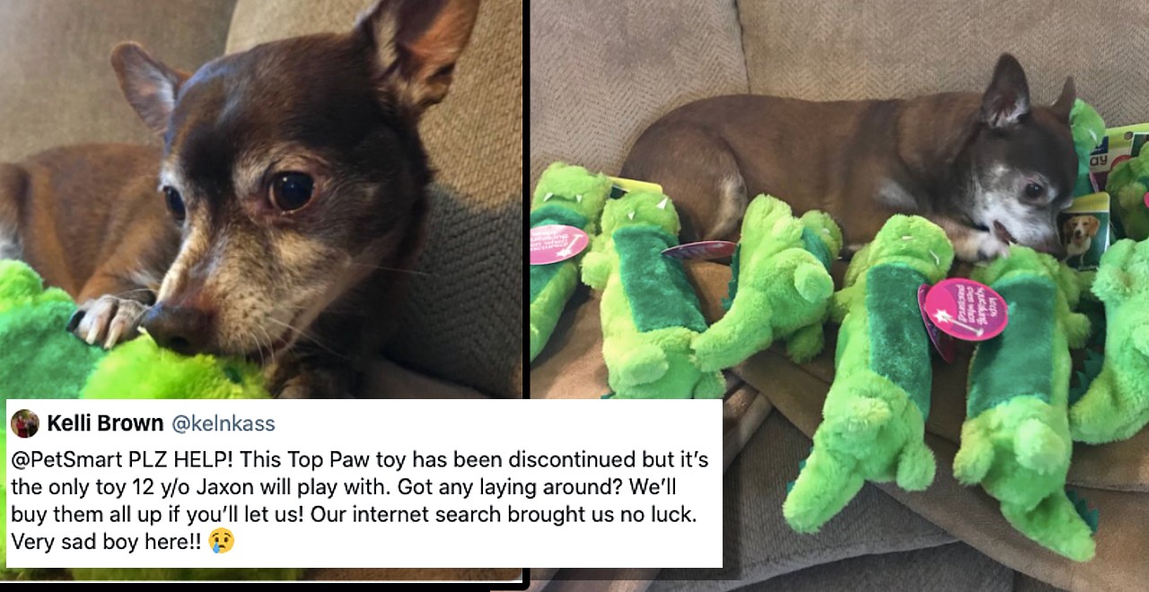 Internet helps elderly dog get his favorite discontinued toy