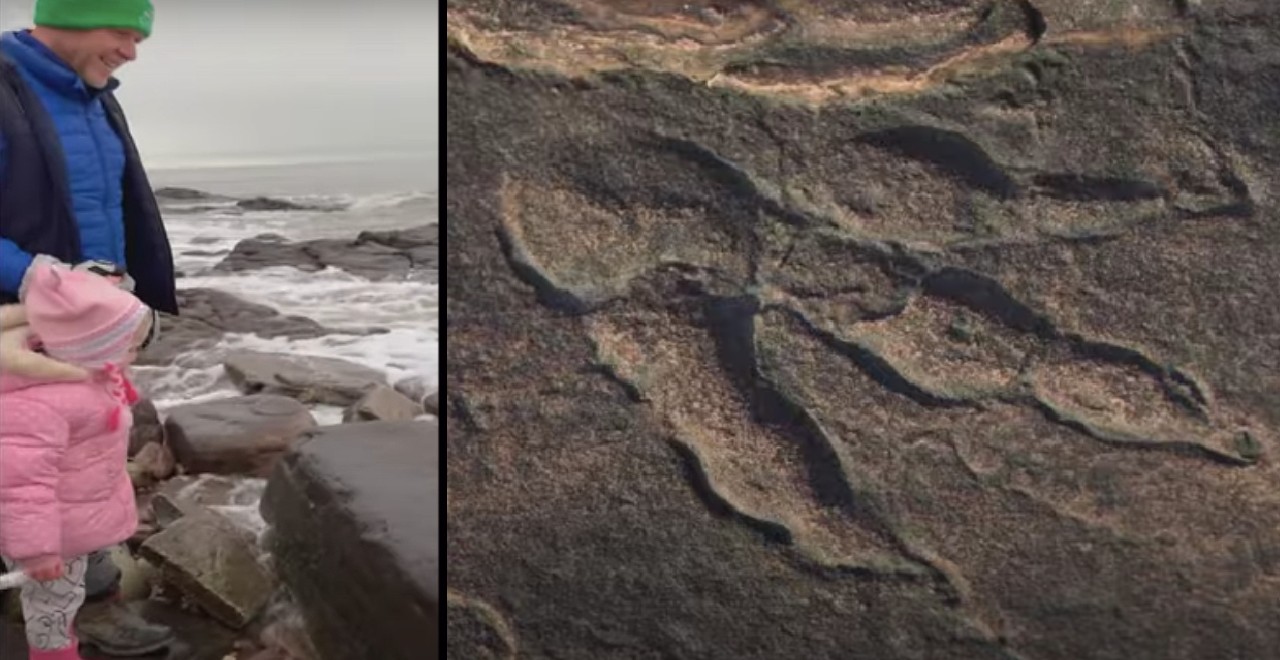 4-year-old discovers 220 million year old dinosaur footprint