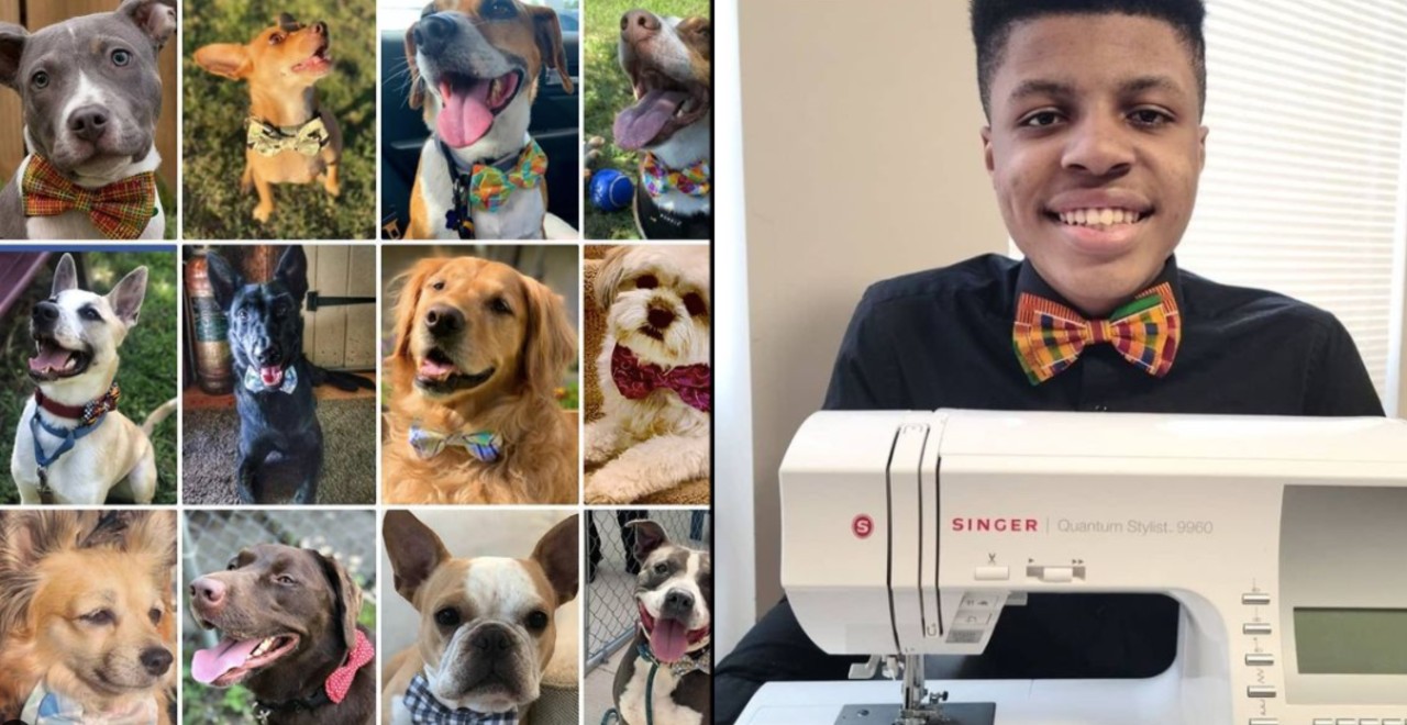 Teen sews bow ties for shelter animals
