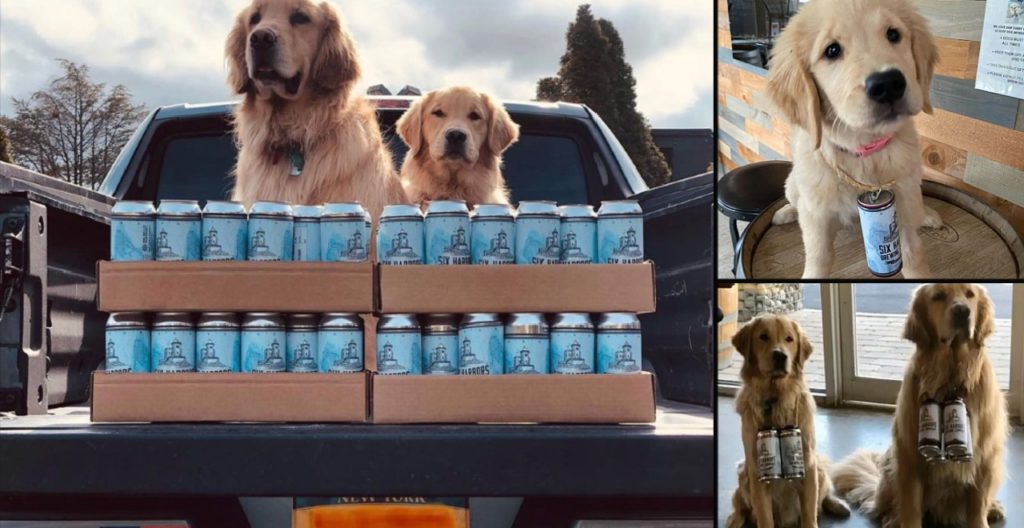 Brew dogs help deliver beer