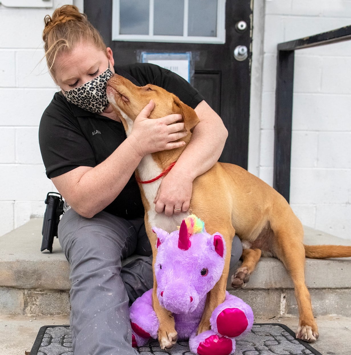 Dog with toy