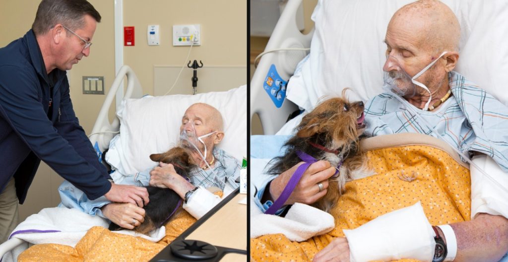 Dying veteran sees beloved dog one last time