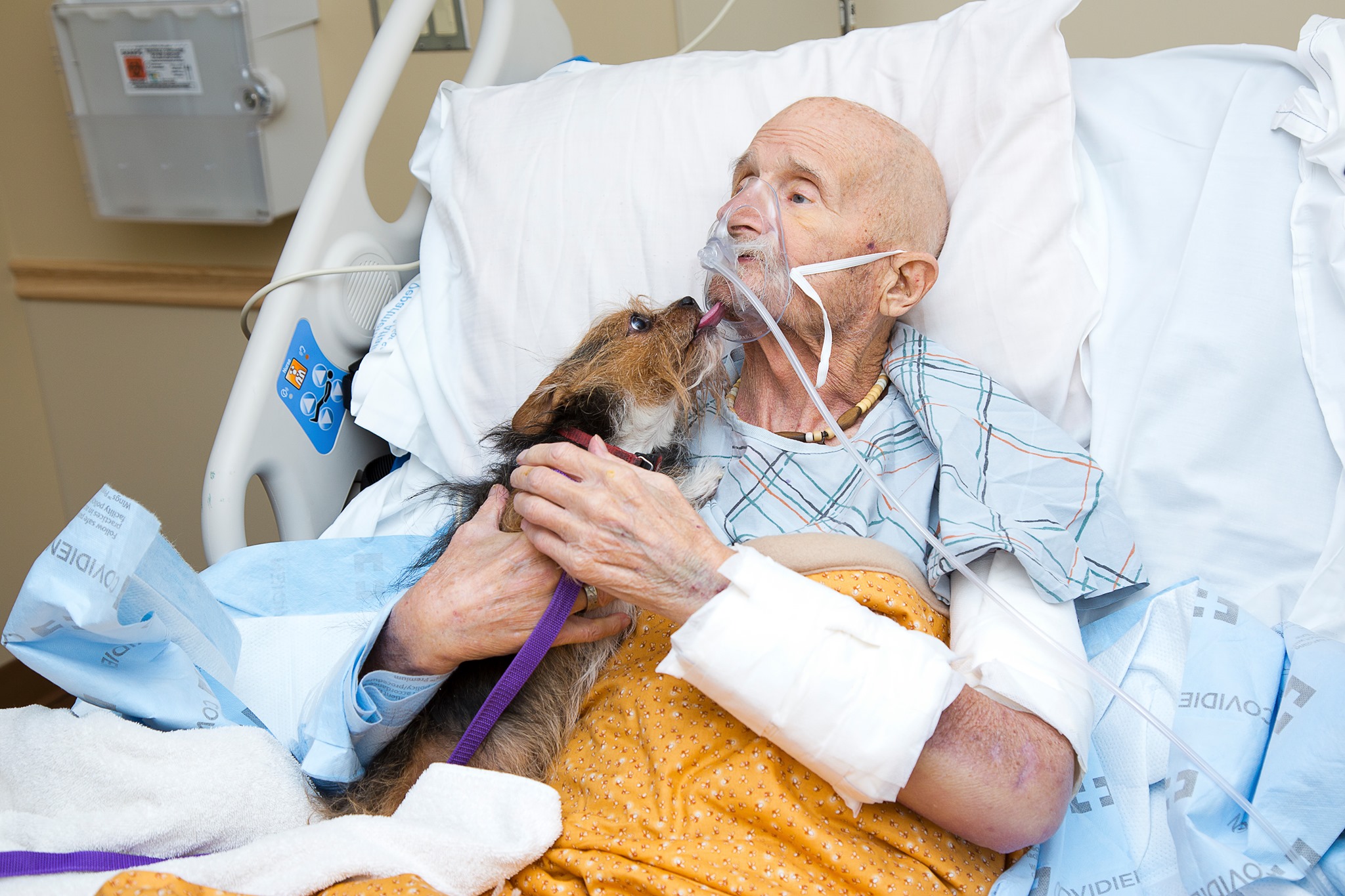 Veteran in hospice says goodbye to beloved dog