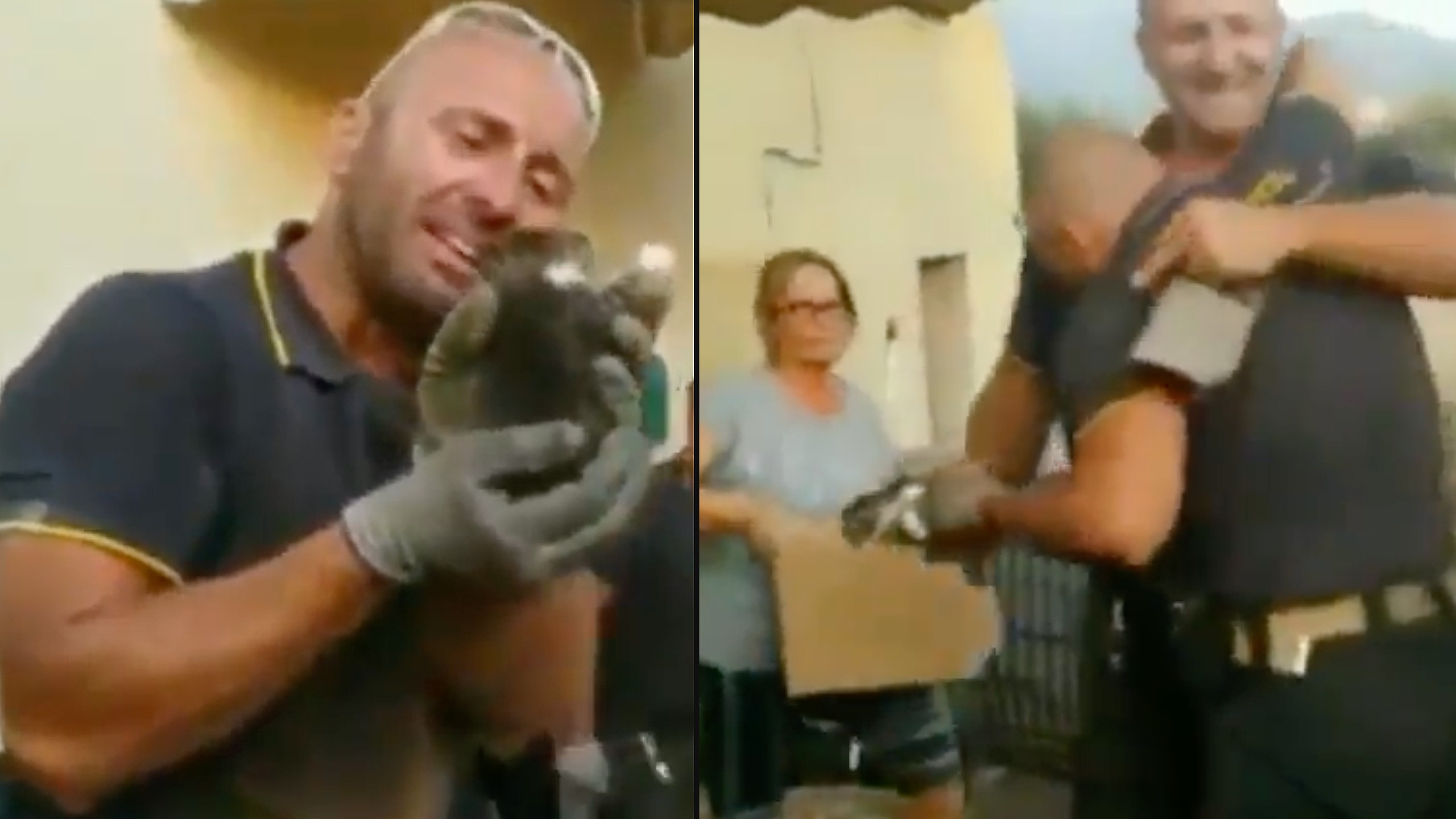 Italian firefighter emotional after rescuing kitten from hole