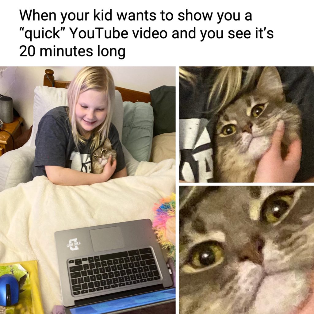 When your kid wants to show you a "quick" YouTube video and you see it's 20 minutes long. meme with a kid and her cat and laptop.