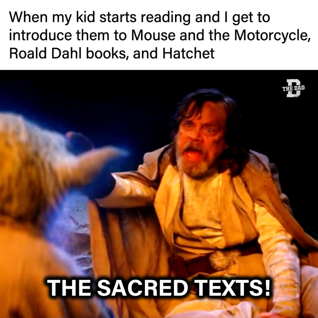 When my kid starts reading and I get to introduce them to Mouse and the Motorcycle, Roald Dahl books, and Hatchet.... THE SACRED TEXTS! (star wars meme, luke skywalker, yoda)