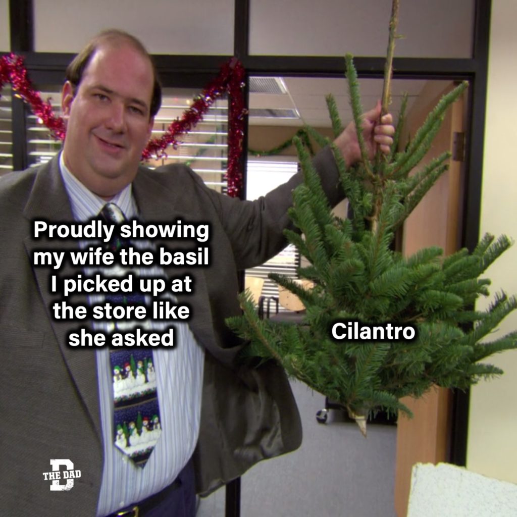 Proudly showing my wife the basil I picked up at the store like she asked.... Cilantro. Kevin Malone The Office meme, Christmas tree