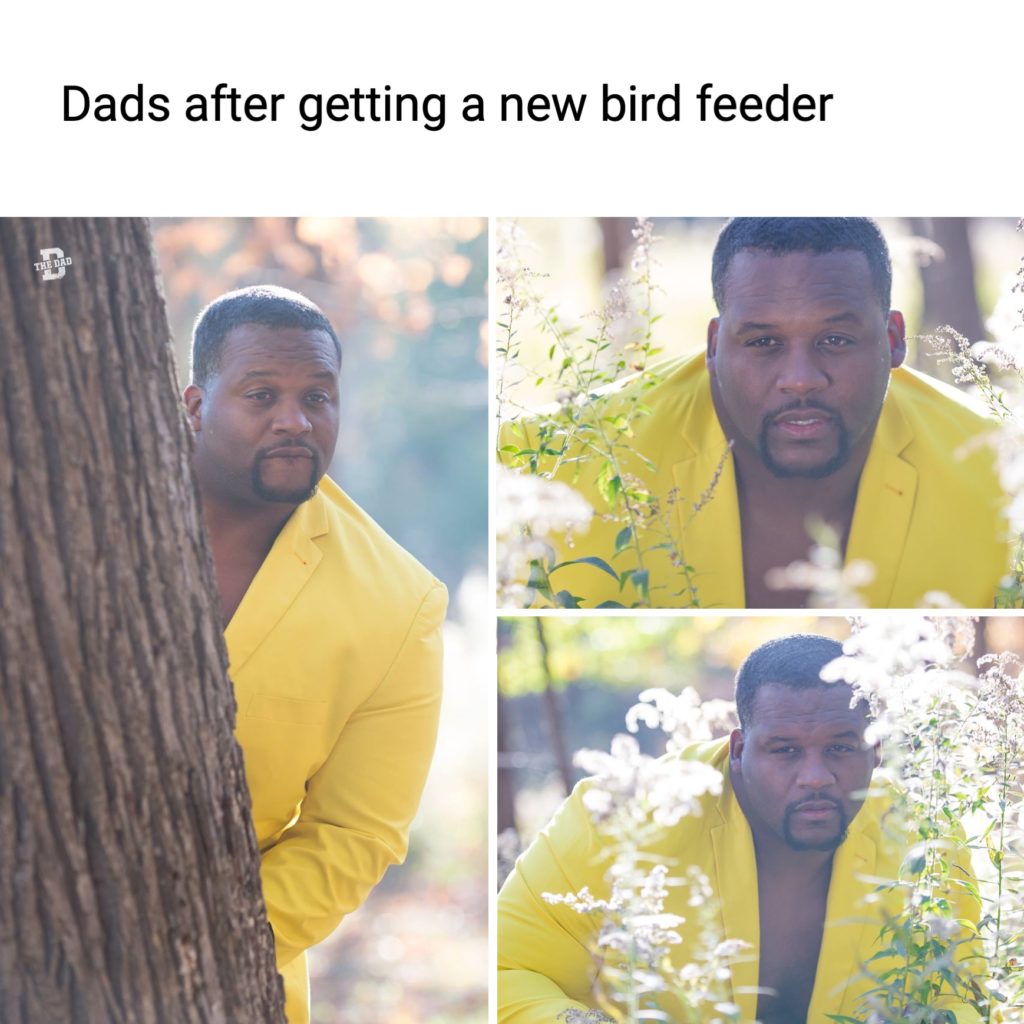 Dads after getting a new bird feeder. (Spice Adams hiding behind tree in yellow suit rubbing his hands.)