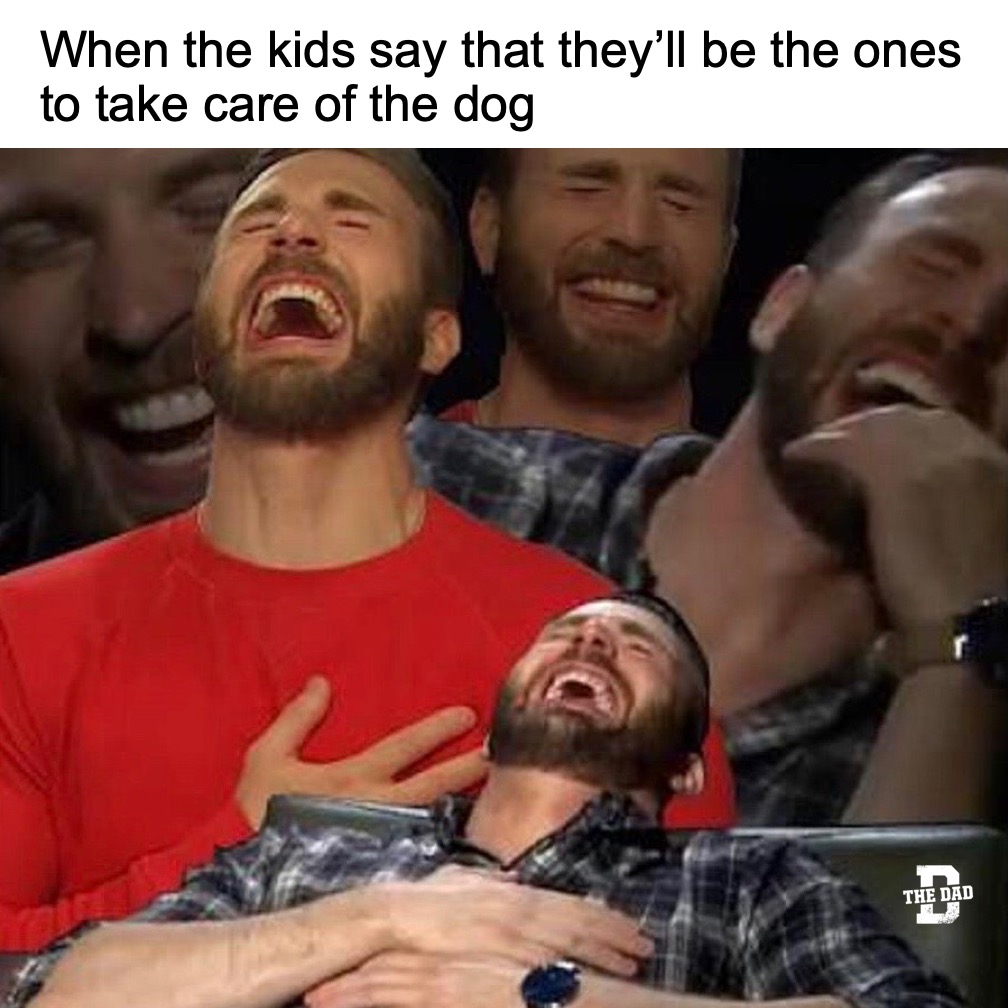When the kids say that they'll be the ones to take care of the dog. Uncontrollable laughter meme.