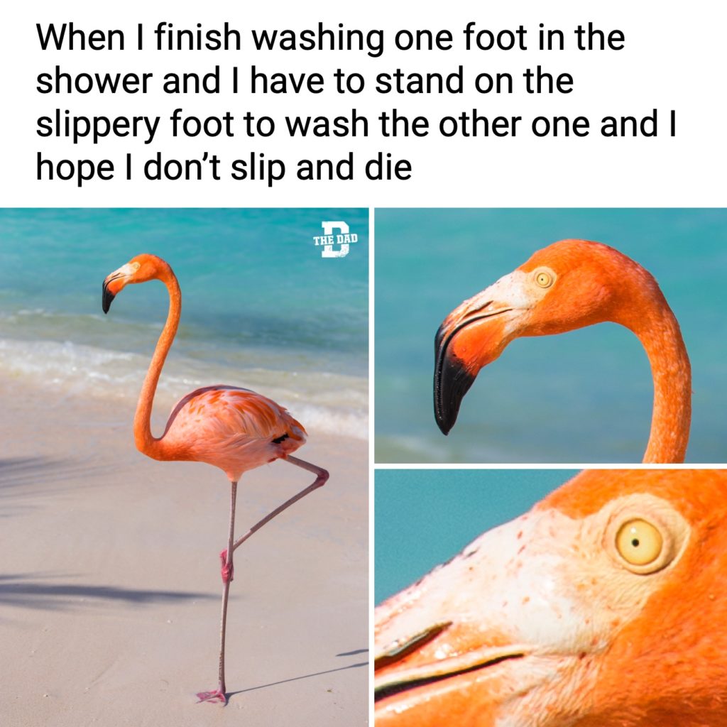When I finish washing one foot in the shower and I have to stand on the slippery foot to wash the other one and I hope I don't slip and die. Self care, meme, flamingo