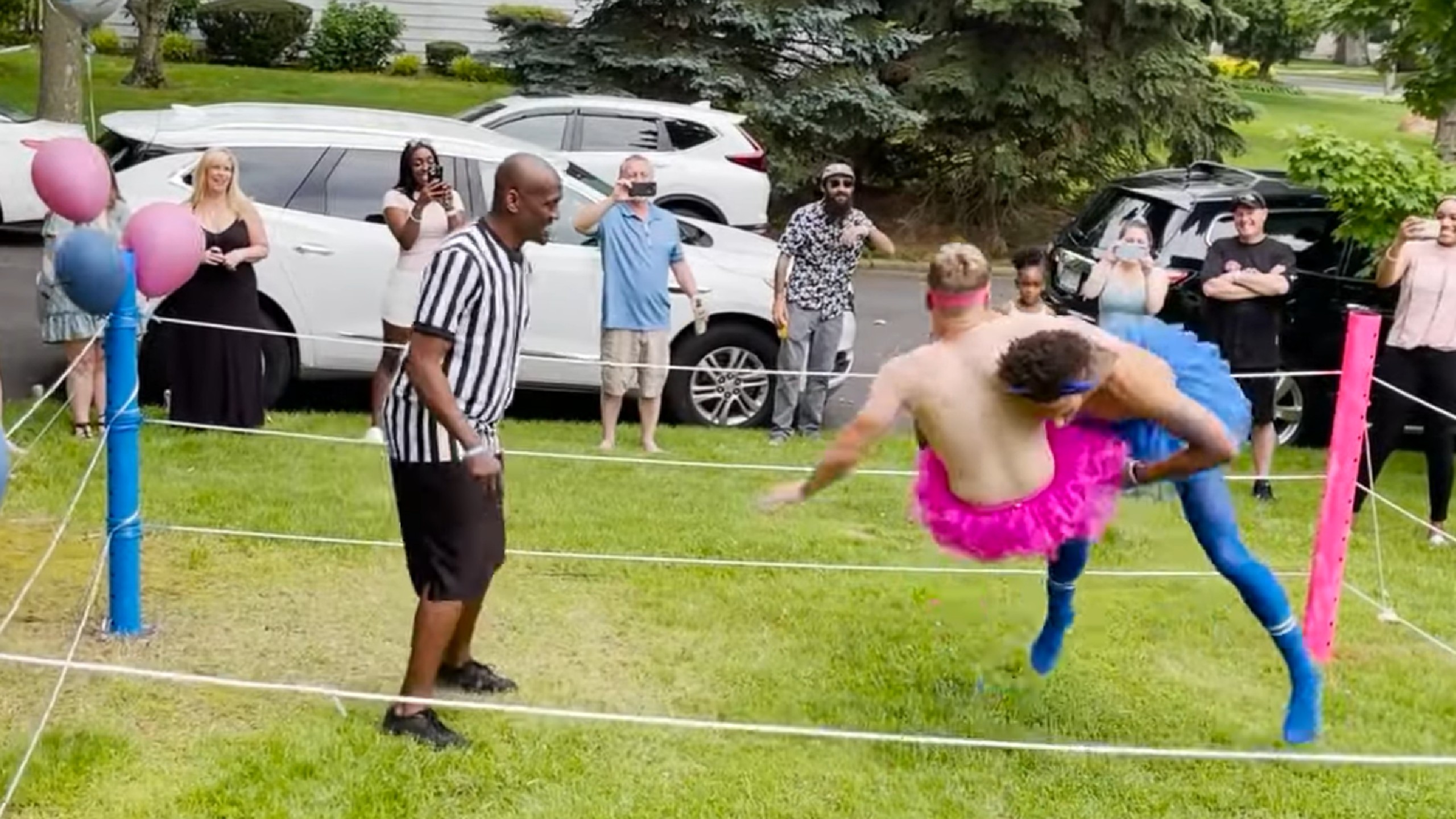 Wrestling Gender Reveal