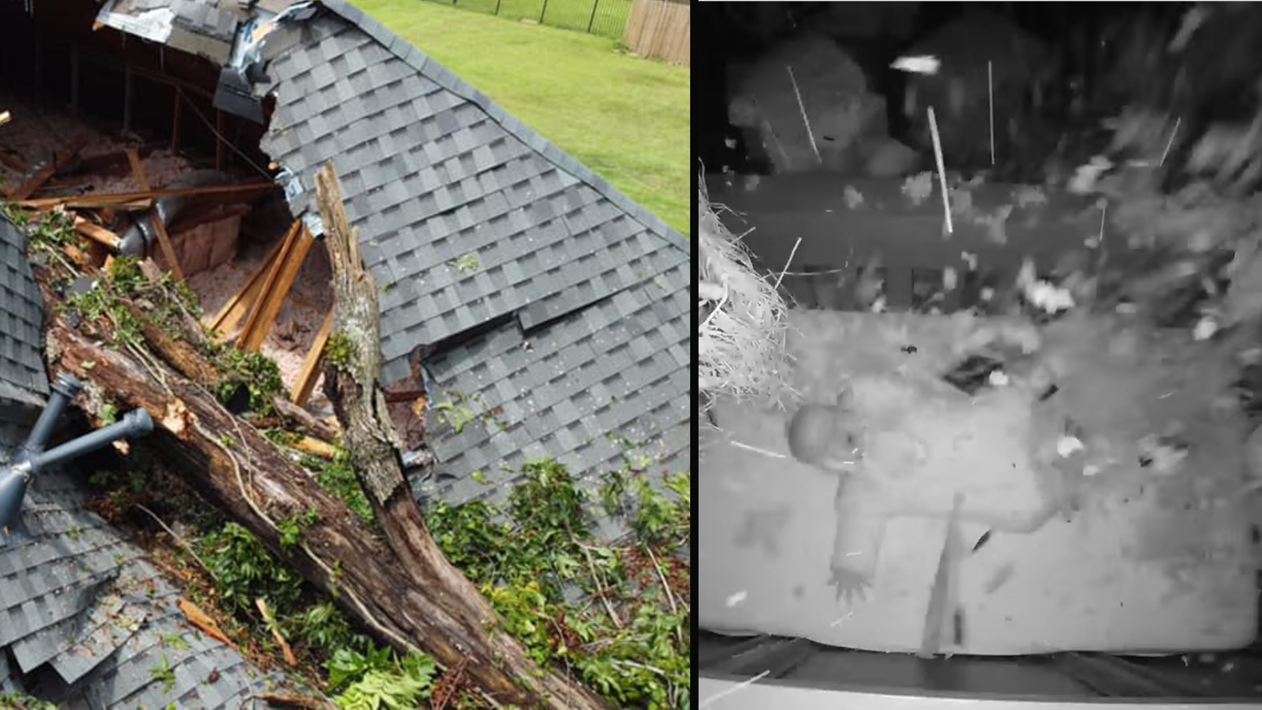 Baby Spared from tree that crushes home