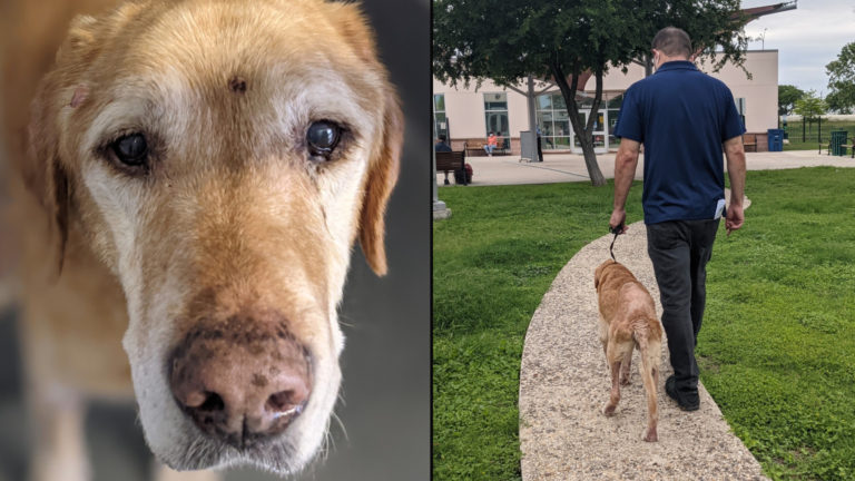 Man Reunited With Beloved Dog After 10 Years | The Dad