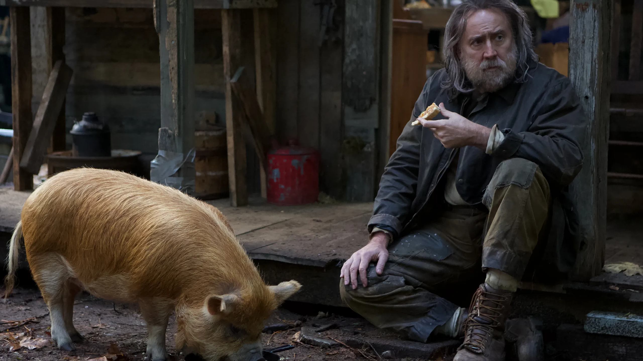 Nic Cage Pig Movie