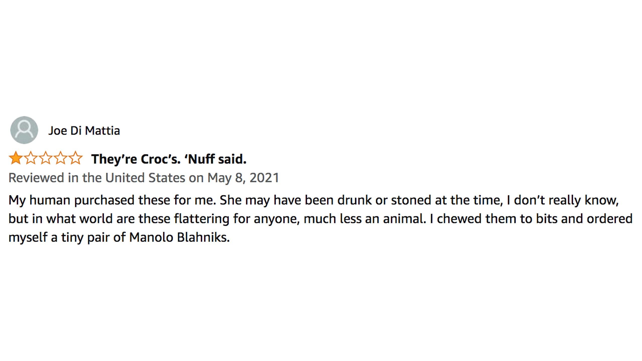 Dog Crocs Exist Now Because Humans Are Morons | The Dad