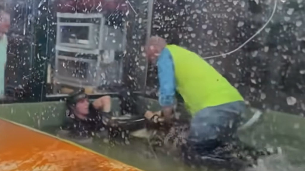 Dad Saves Trainer from Darth Gator