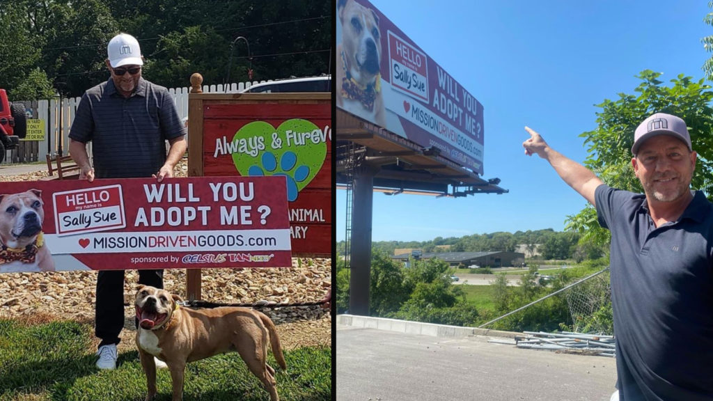 Billboard Dog