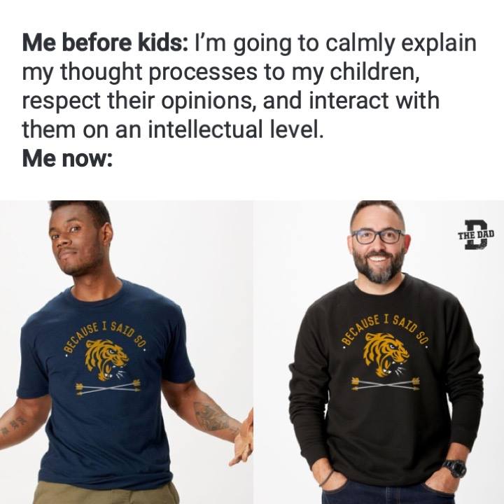 Me before kids: I'm going to calmly explain my thought process to my children, respect their opinions, and interact with them on an intellectual level. Me now: (Shirt="Because I said so") Parenting, gear, expectations