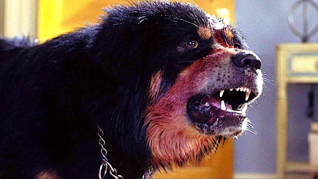 Scene from 'Man's Best Friend' (1993) — horror dog movies.