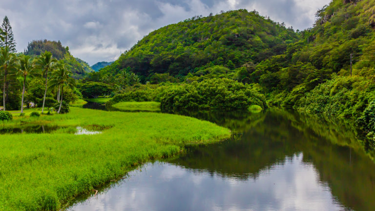 Hawaii Beer River