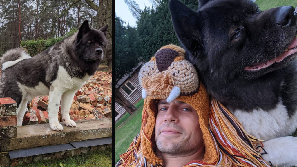 Henry Cavill’s Real Life Sidekick Is the Dog That Saved His Mental Health